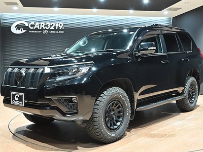 TOYOTA LAND CRUISER PRADO - 1