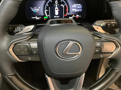2024 Lexus LM — миниатюра 15
