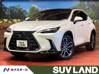 LEXUS NX - 1