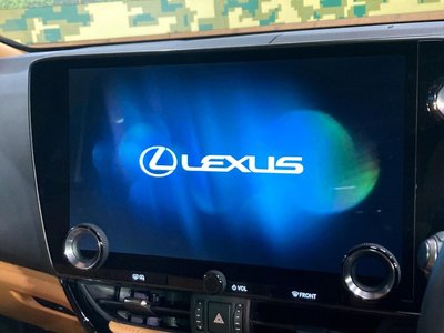 LEXUS NX - 4