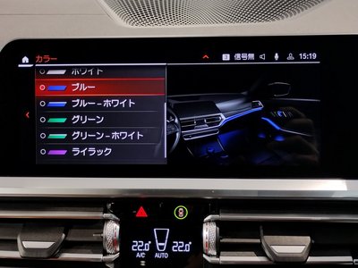2021 BMW 3 SERIES 缩略图 35