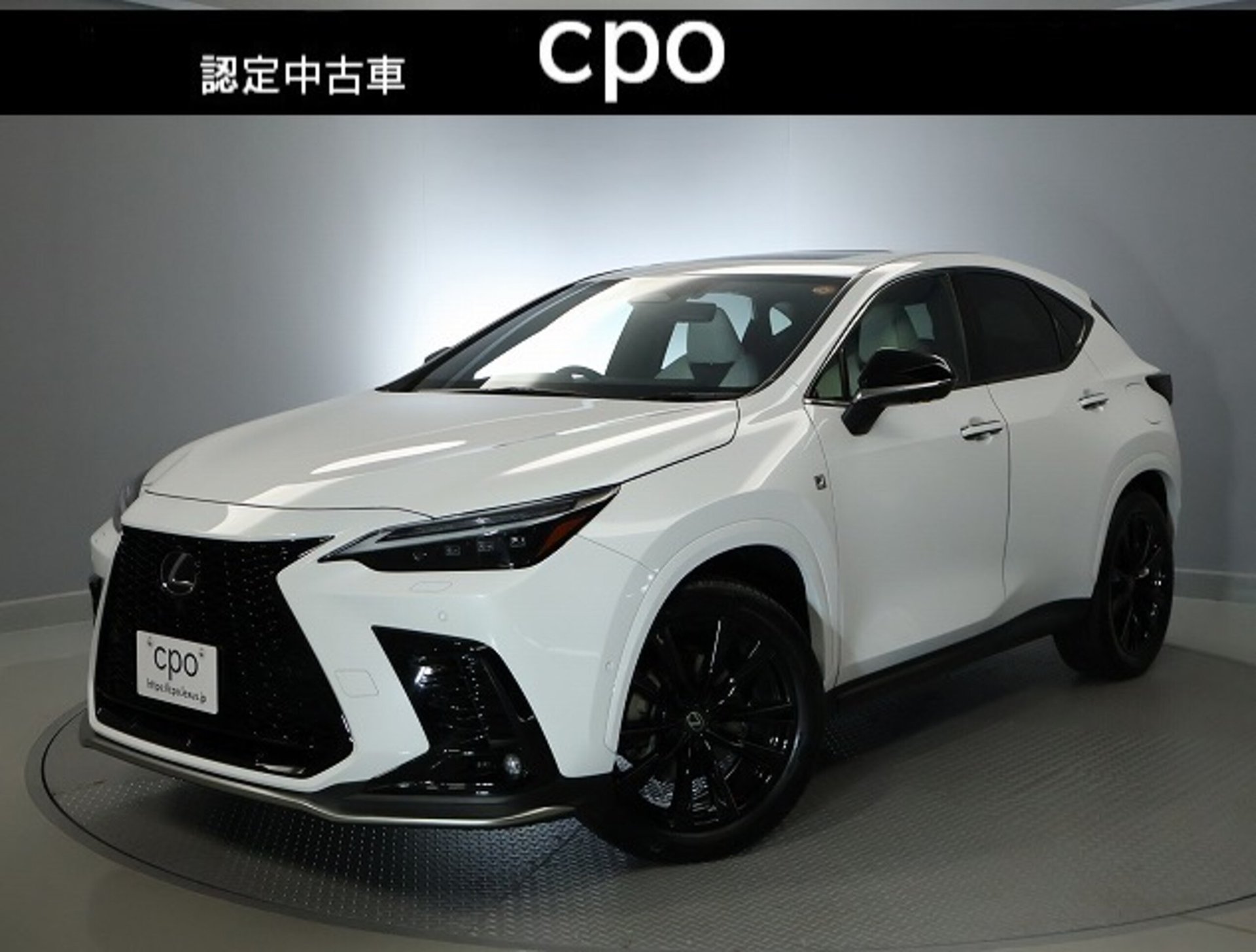 2025 Lexus NX 照片 1