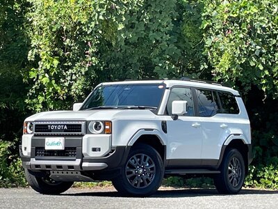 TOYOTA LAND CRUISER 250 - 3