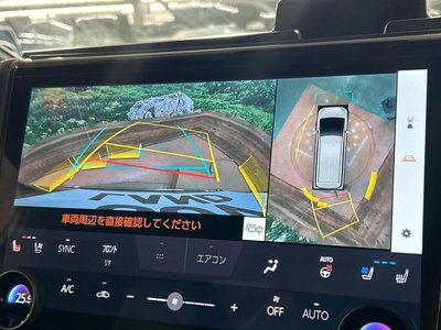 TOYOTA VELLFIRE - 7