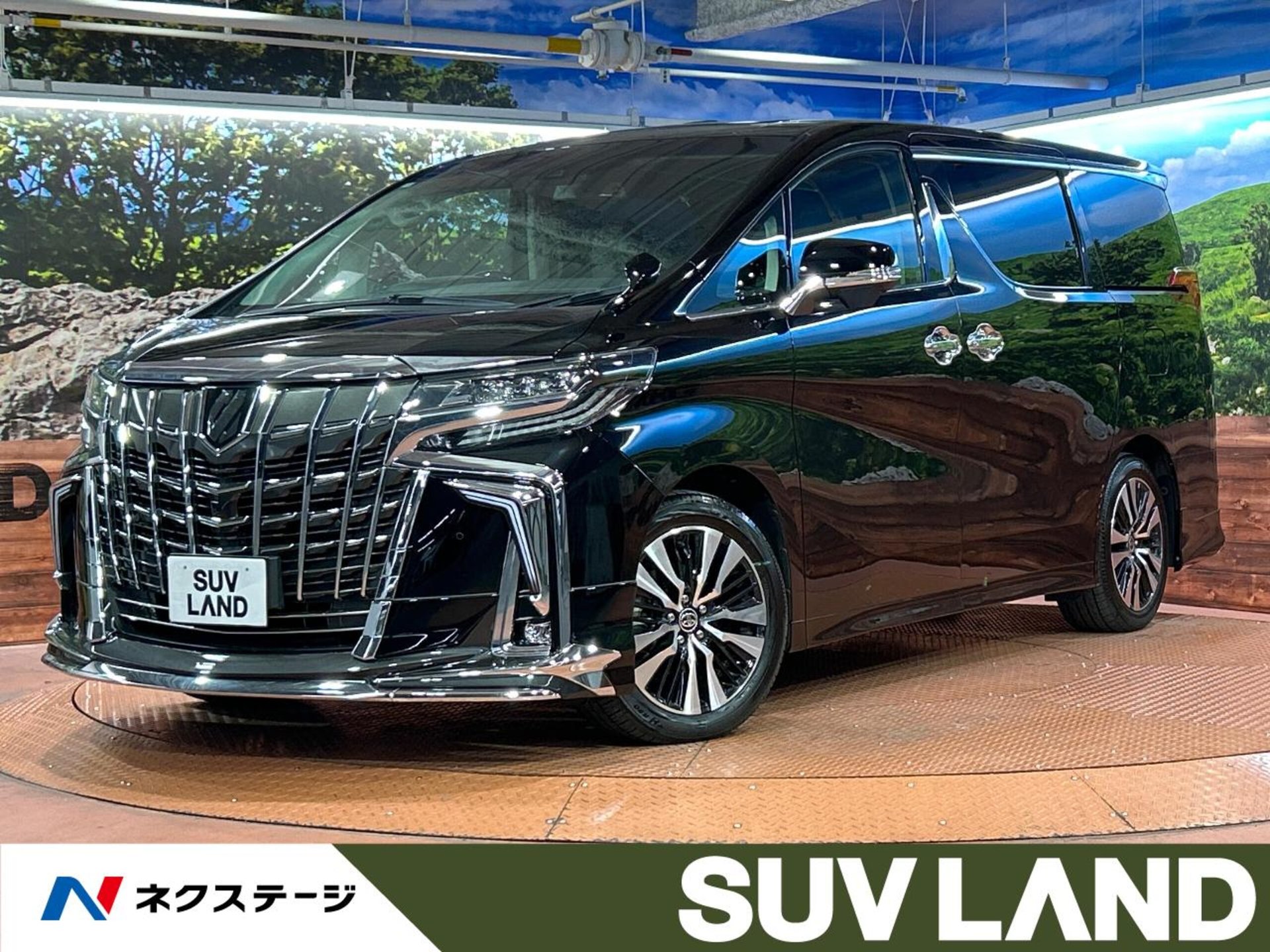 TOYOTA ALPHARD - View 1