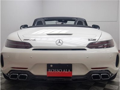 2019 Mercedes-BENZ GT AMG 缩略图 39