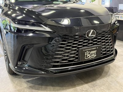 2023 Lexus RX 缩略图 59