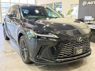 2023 Lexus RX 缩略图 58