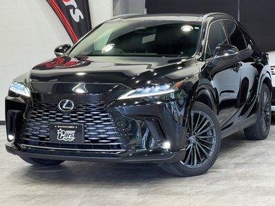 2023 Lexus RX 照片 5