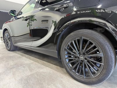 2023 Lexus RX 缩略图 50
