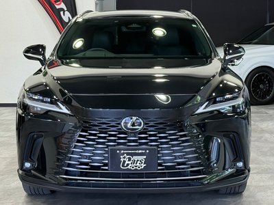 2023 Lexus RX 照片 8