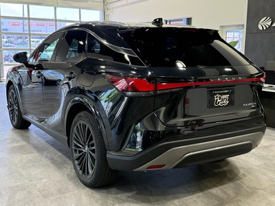 2023 Lexus RX 照片 6