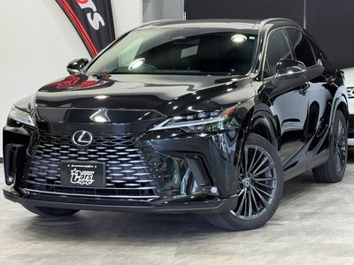 2023 Lexus RX 照片 1