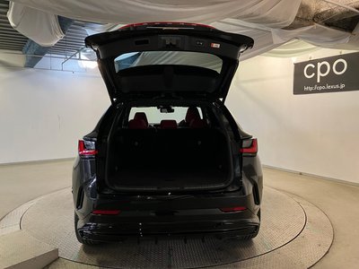 2023 Lexus NX — миниатюра 23