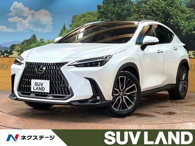 LEXUS NX - 1