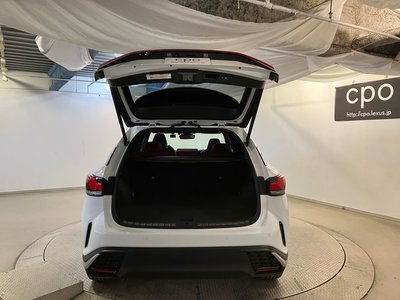 2023 Lexus RX — миниатюра 22