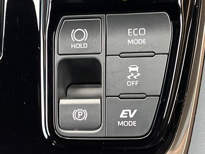 2024 Toyota ALPHARD 缩略图 73