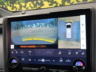 2024 Toyota ALPHARD 缩略图 65