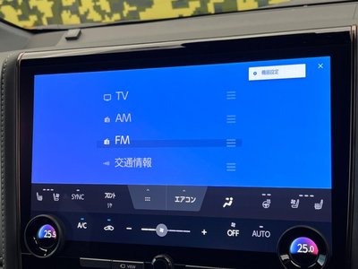 2024 Toyota ALPHARD 缩略图 66