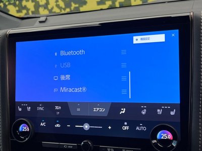 2024 Toyota ALPHARD 缩略图 67