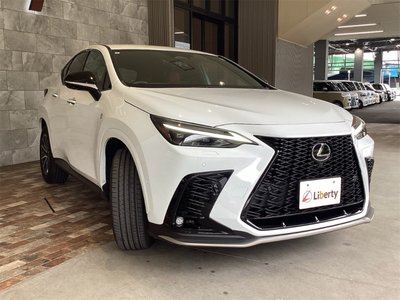 LEXUS NX - 10