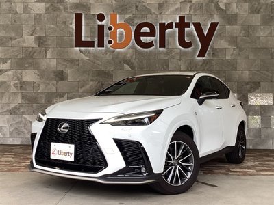 LEXUS NX - 1