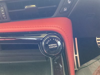 2024 Lexus NX — миниатюра 48