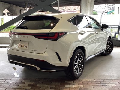 2024 Lexus NX — миниатюра 12