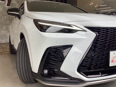 2024 Lexus NX — миниатюра 17
