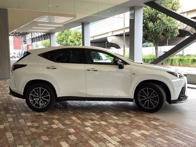 2024 Lexus NX — миниатюра 11