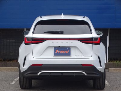 LEXUS NX - 6