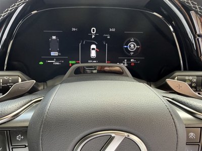 صورة مصغرة 25 لـ 2025 Lexus RX