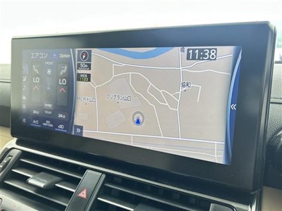 2021 Toyota LAND CRUISER 300 照片 10