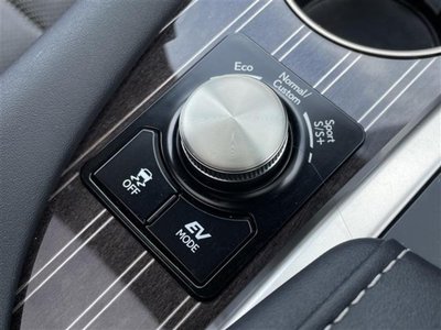 2021 Lexus RX 缩略图 20