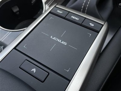 2021 Lexus RX 缩略图 19