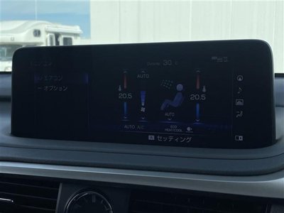 2021 Lexus RX 缩略图 13