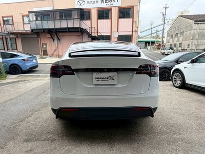 TESLA MODEL X - 9
