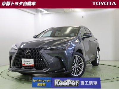 LEXUS NX - 1