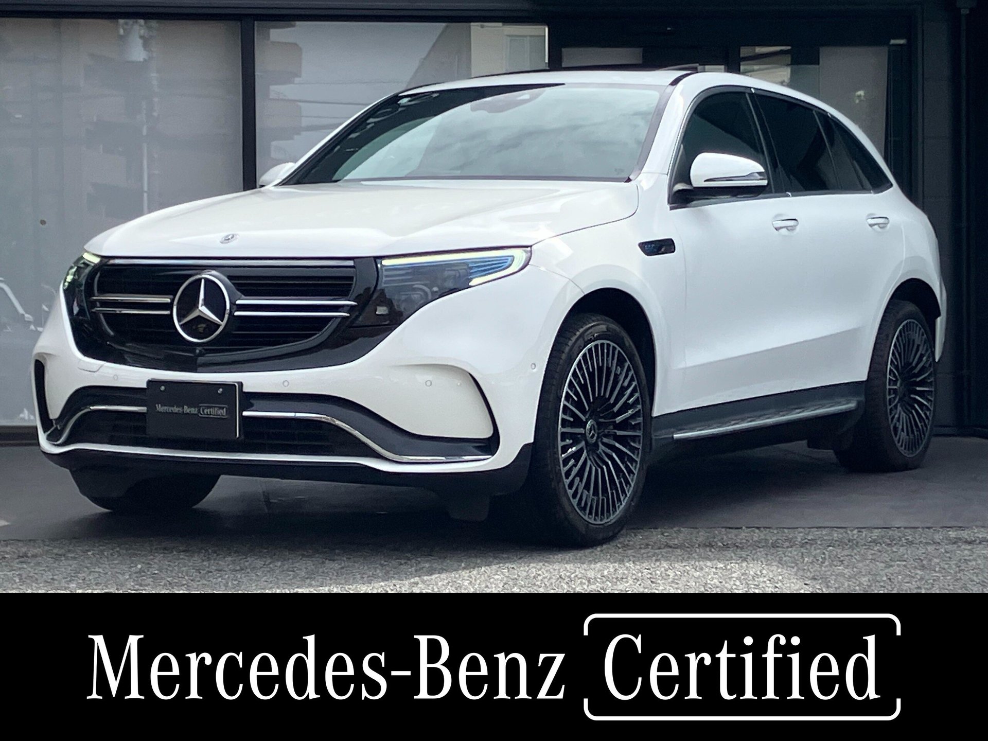 MERCEDES-BENZ EQC - View 1