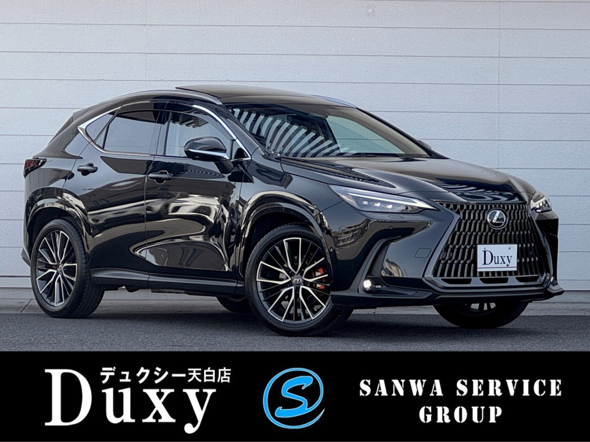 LEXUS NX - View 1