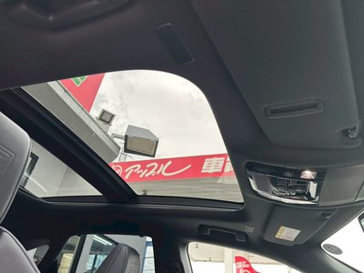 2024 Lexus RX thumbnail 42