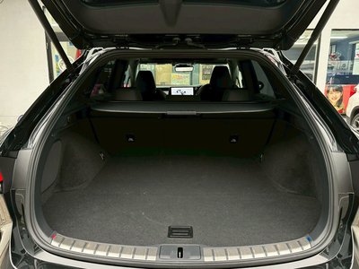 2024 Lexus RX thumbnail 24