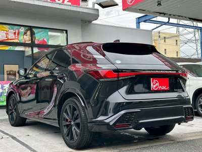 2024 Lexus RX thumbnail 16