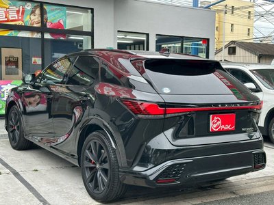 2024 Lexus RX thumbnail 64