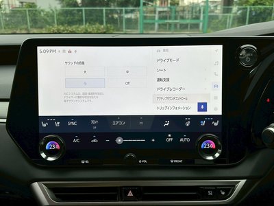2024 Lexus RX thumbnail 49