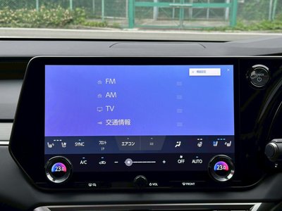 2024 Lexus RX thumbnail 33