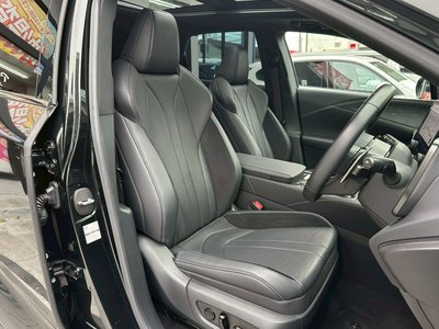 2024 Lexus RX thumbnail 19