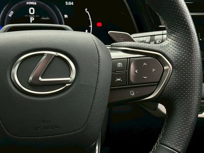 2024 Lexus RX thumbnail 30