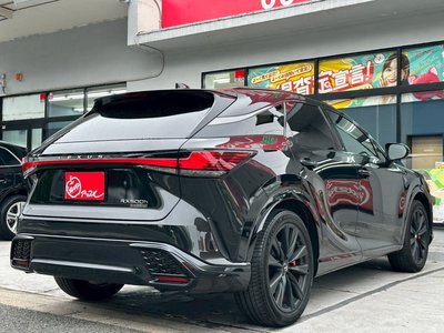 2024 Lexus RX thumbnail 14