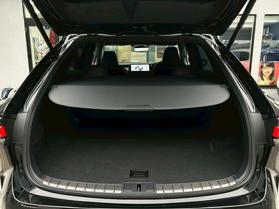 2024 Lexus RX thumbnail 25